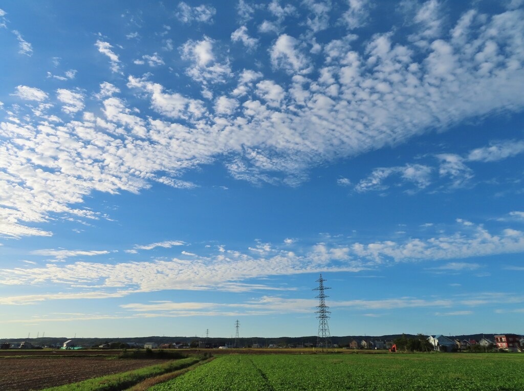 雲　Ⅴ