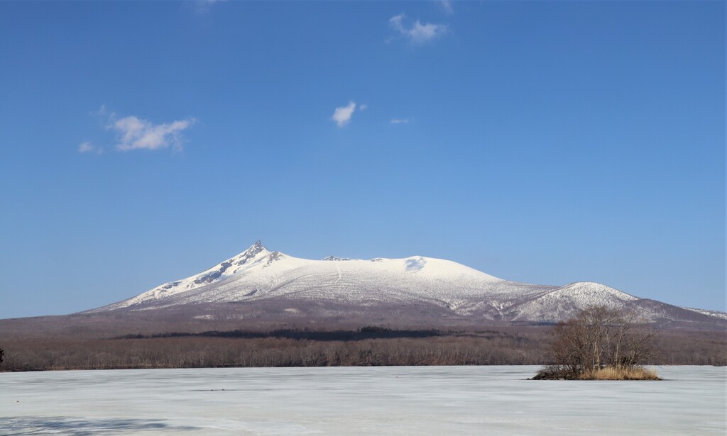 駒ヶ岳全景