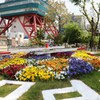 札幌散歩３２　　花時計