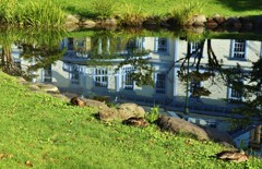 池に映る「豊平館」と鴨たち