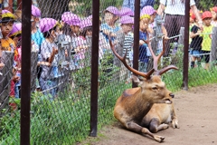 ケッ！見世物じゃねぇんだよ！