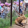 ケッ！見世物じゃねぇんだよ！