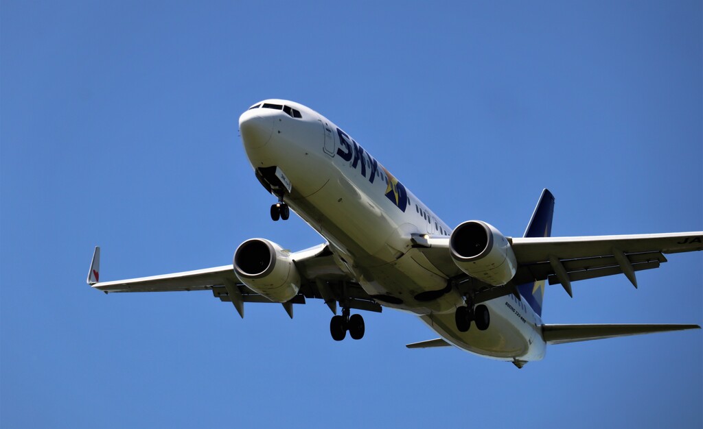久々　飛行機　２