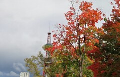 紅葉とテレビ塔