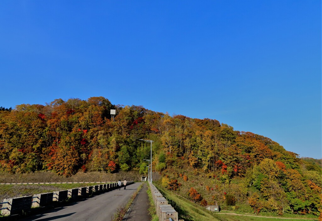 紅葉のダム山