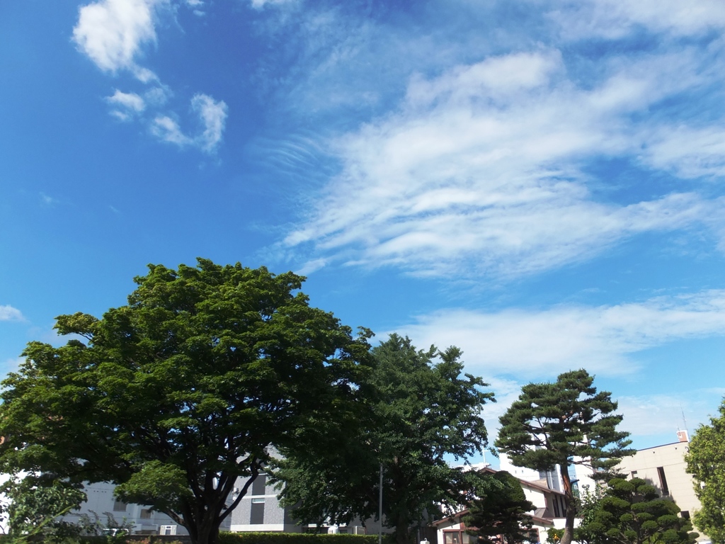 青い空