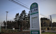 新たな足