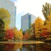 北海道庁前池の紅葉