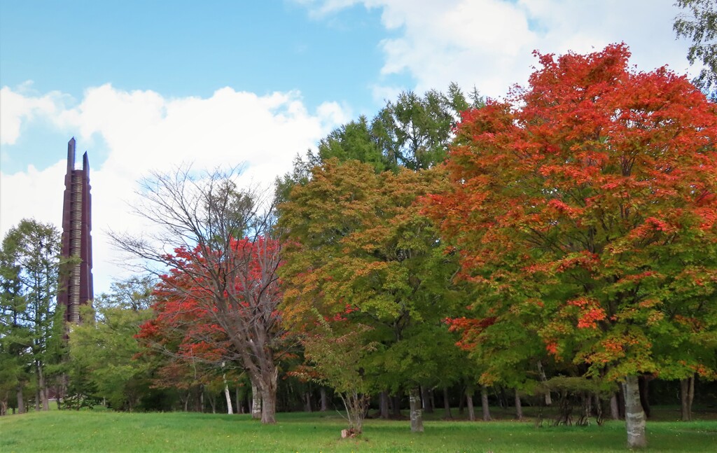 百年記念塔と紅葉