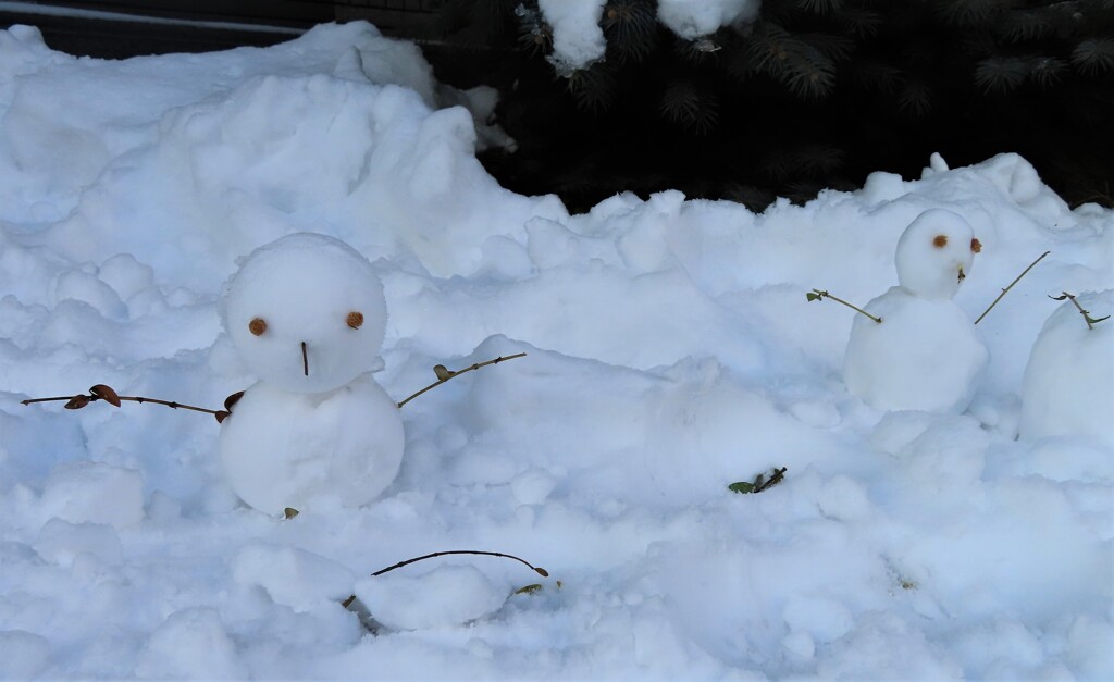 雪だるま　だよ～ン！