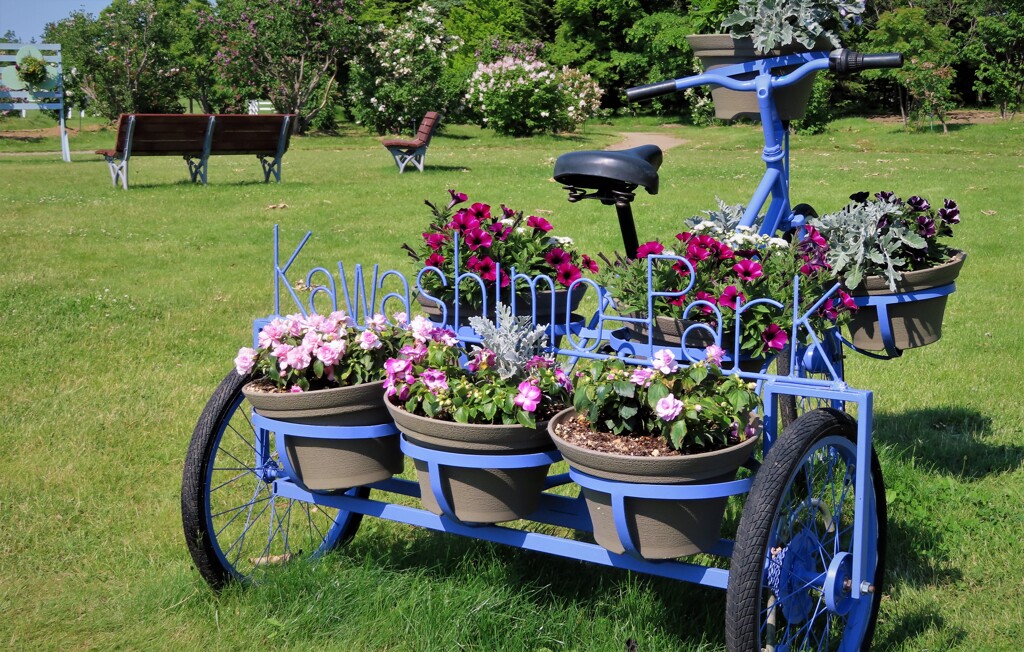 ＦＬＯＷＥＲ　ＢＩＣＹＣＬＥ