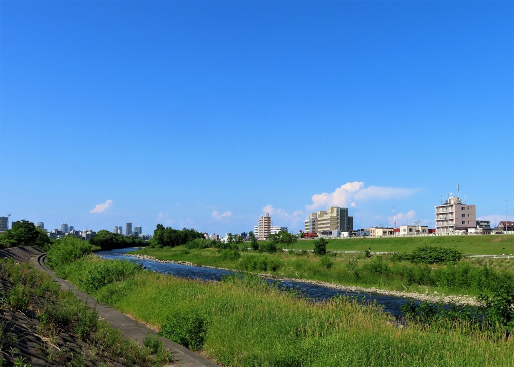 川の風景