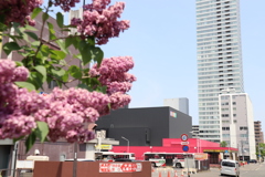 札幌散歩３１　　劇団四季