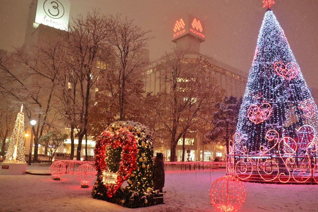 ホワイトイルミネーション　Ⅹ