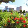 初秋　我が町風景　７