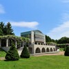 藤が咲く公園　７