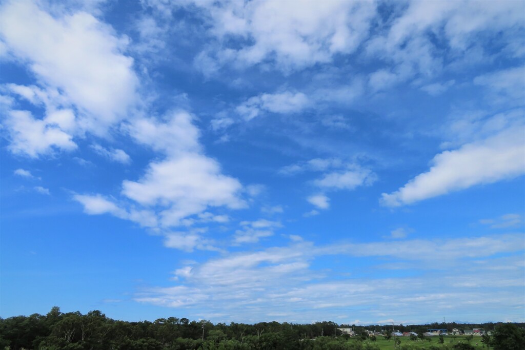今日の空