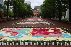 花のイベント　フラワーカーペット１