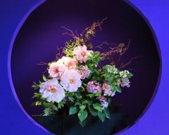 華麗