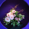華麗
