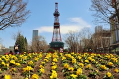 花壇と塔