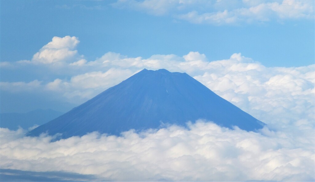 明けましておめでとうございます!