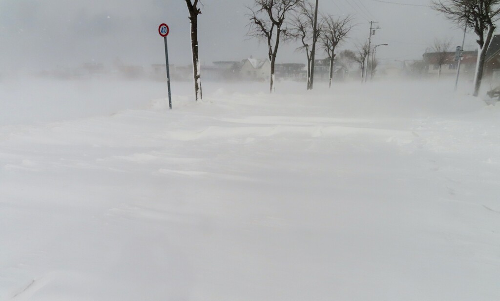 今日は吹雪　５