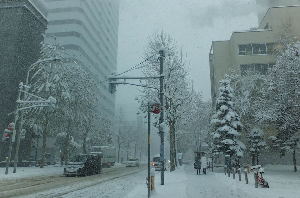 １１月の雪