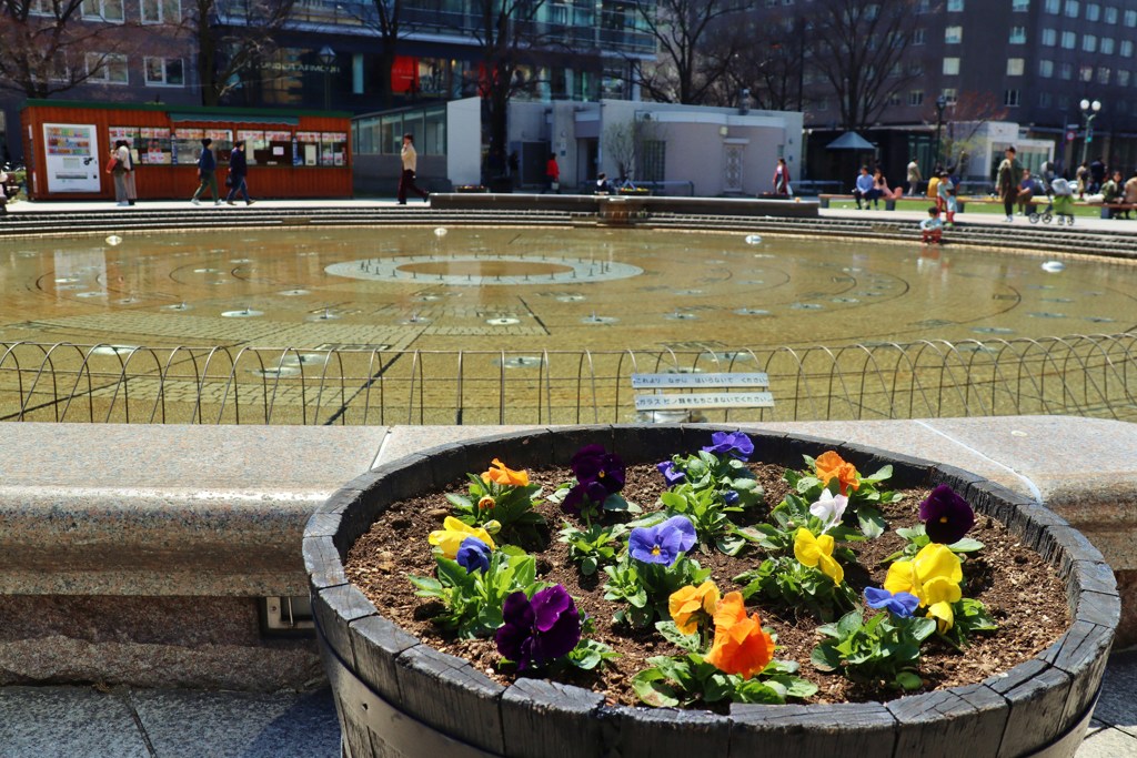 花は良し！噴水はまだか？