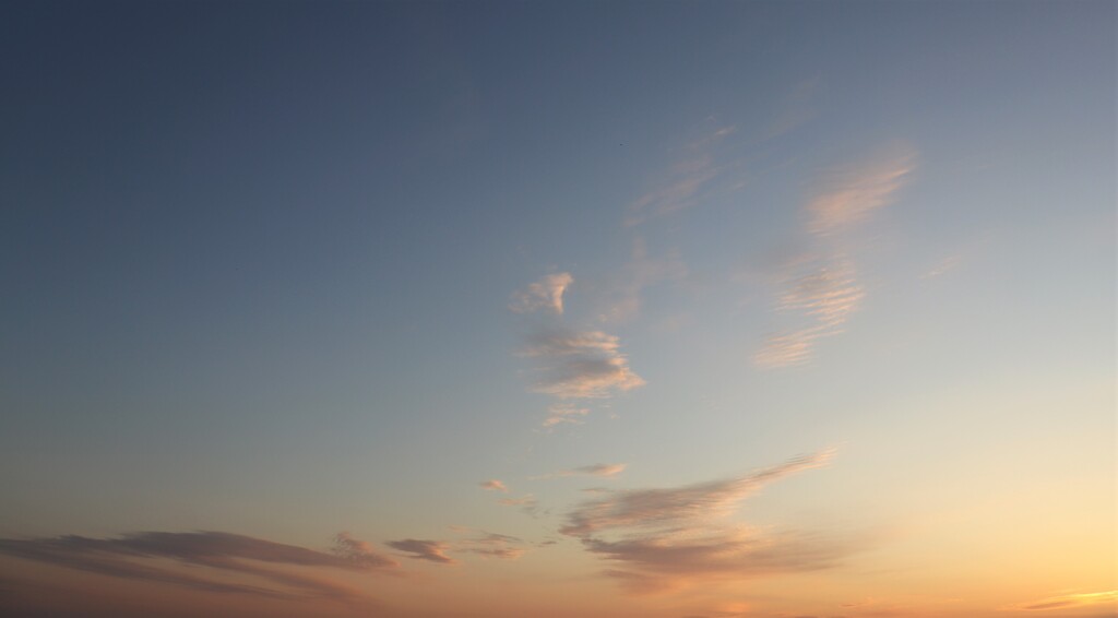 朝の雲