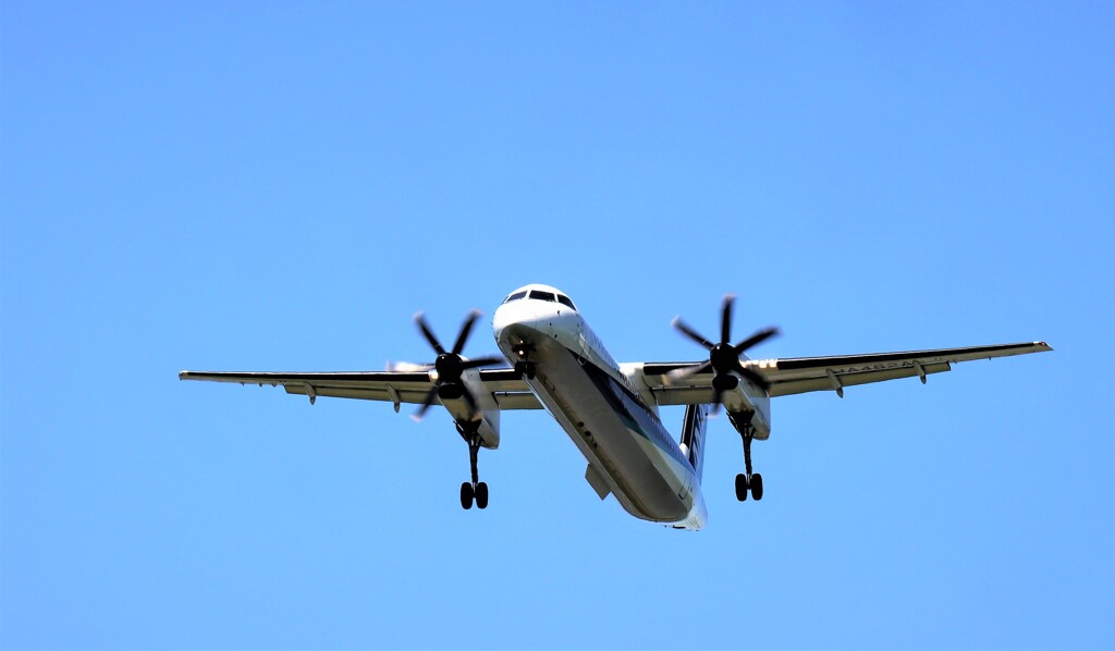 久々　飛行機　５