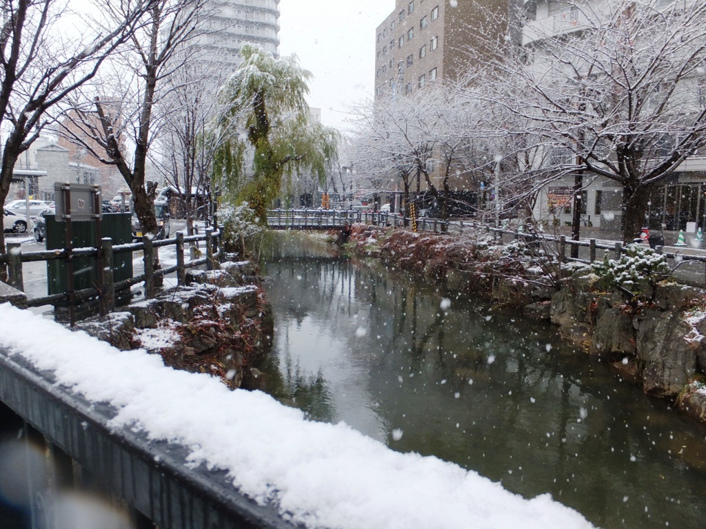 初雪二日目　ススキノ鴨々川