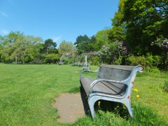 公園のベンチ達