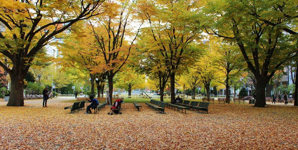 落ち葉とベンチ　Ⅱ