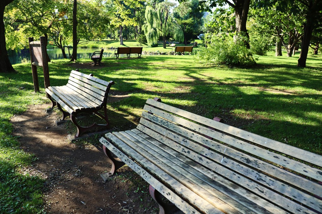 公園のベンチ達