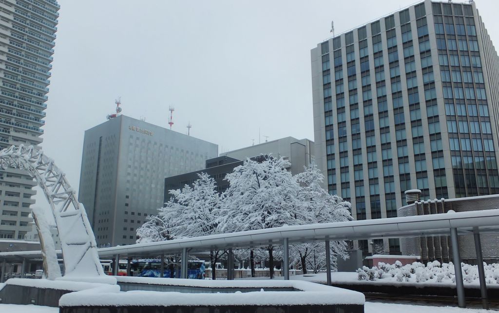 雪化粧　Ⅰ