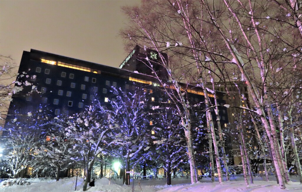 冬のホテル