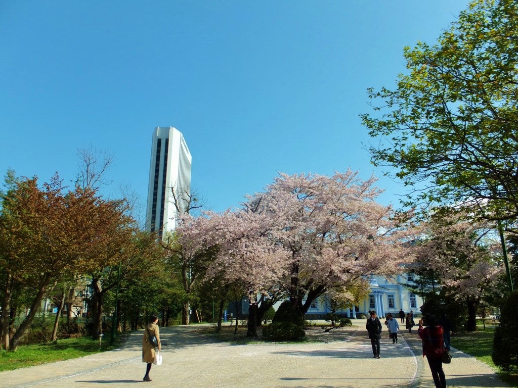公園だけど通勤路