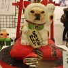 Fake　招きブル
