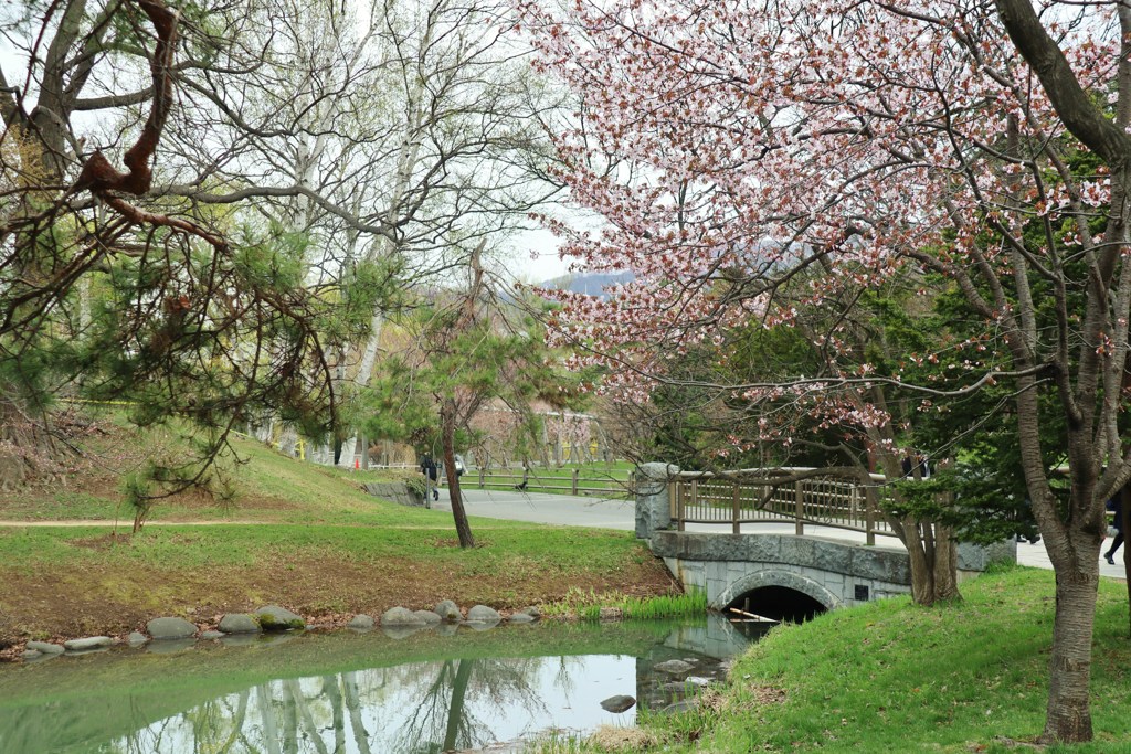 公園内通勤路