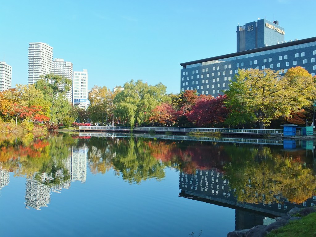 公園の紅葉　札幌パークホテルと