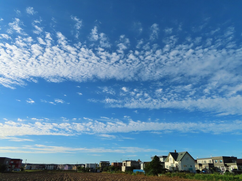 雲　Ⅶ