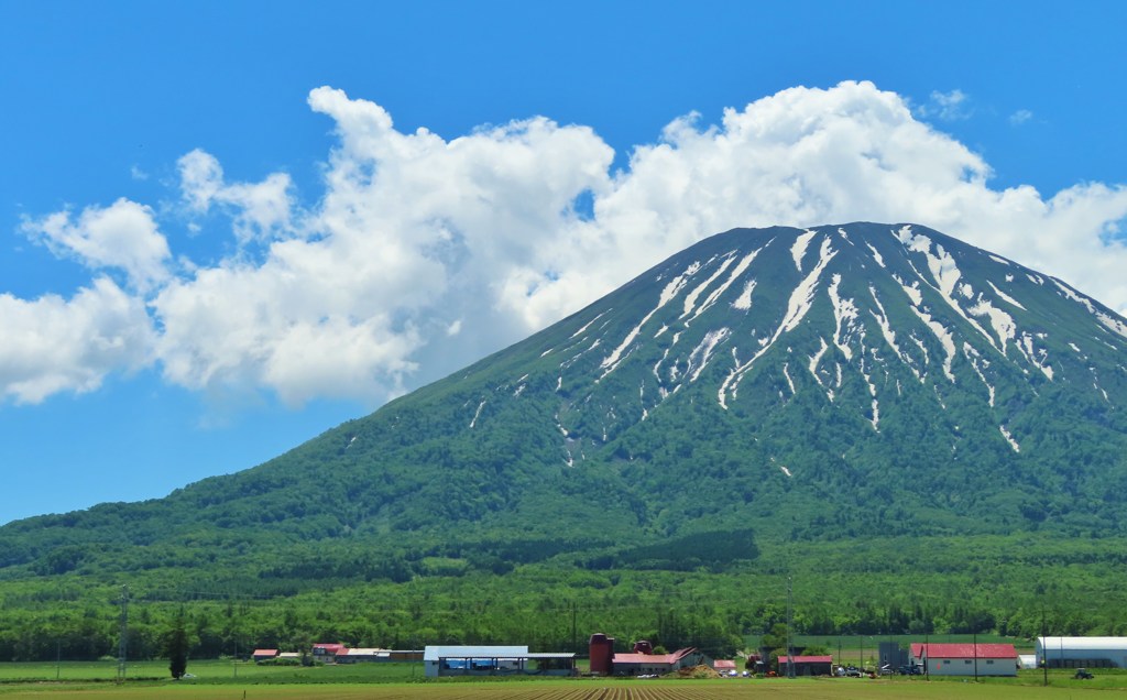 ザ・羊蹄山　Ⅱ