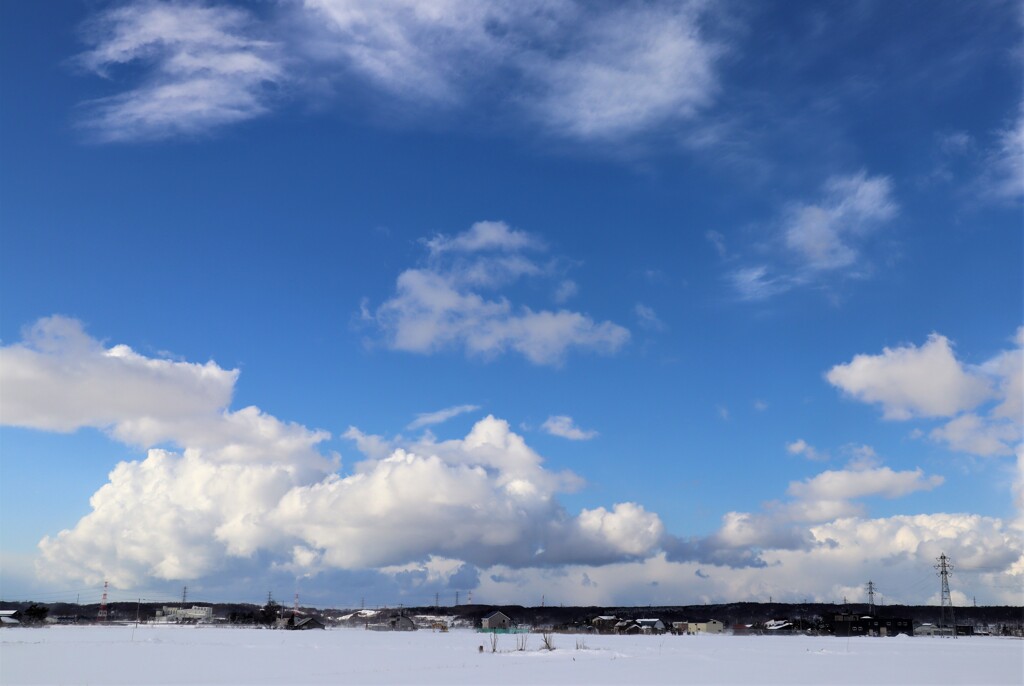 爽やかな冬空