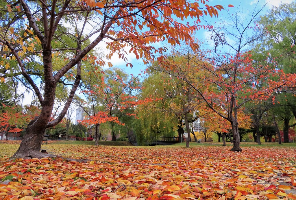久し振りの公園　２