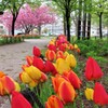 小さくて可愛い公園　１