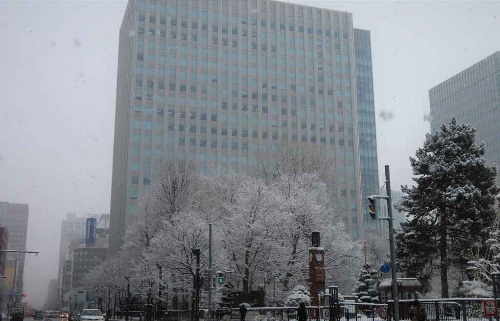 今日の午前、雪はまだまだ・・