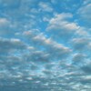 雲
