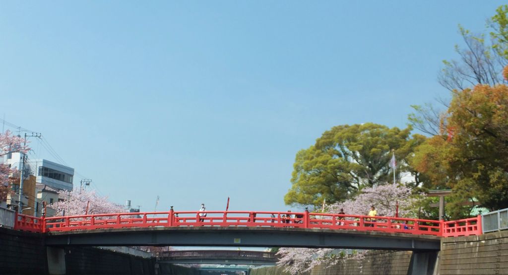 目黒川の桜クルーズ　Ⅰ