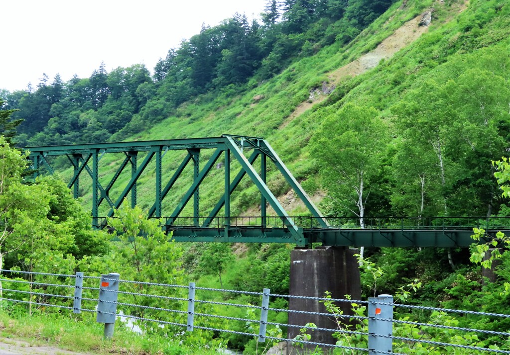 廃線に残った鉄橋
